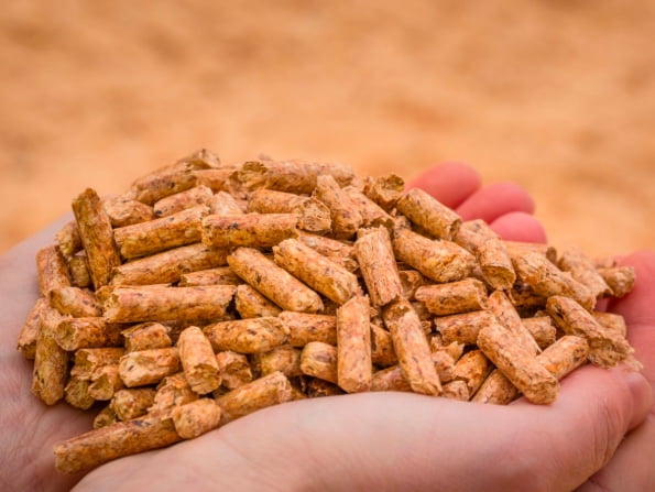 pellets
